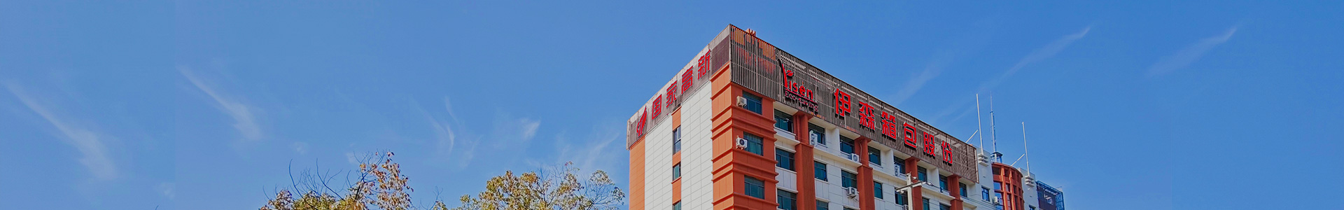 Compañía de bolsas Yisen de Zhejiang. Ltd.