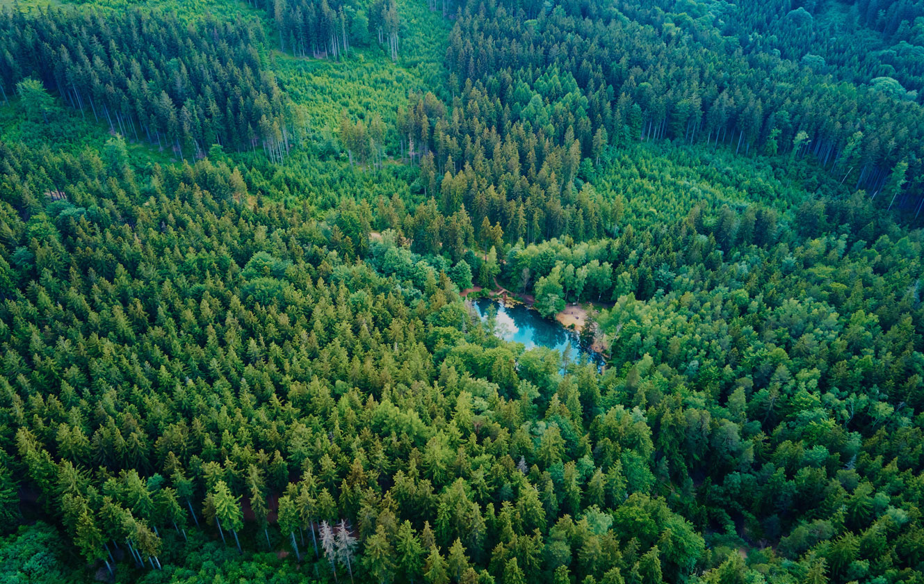 Compañía de bolsas Yisen de Zhejiang. Ltd.