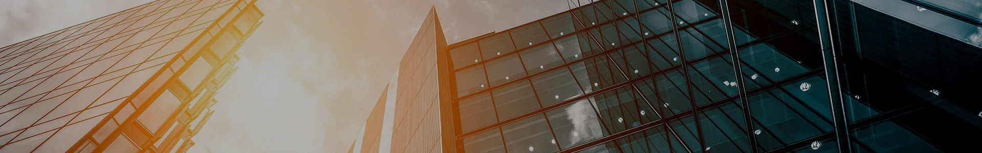 Compañía de bolsas Yisen de Zhejiang. Ltd.